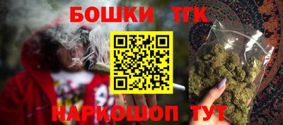 индика Кулебаки