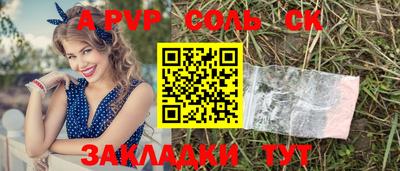 индика Кулебаки