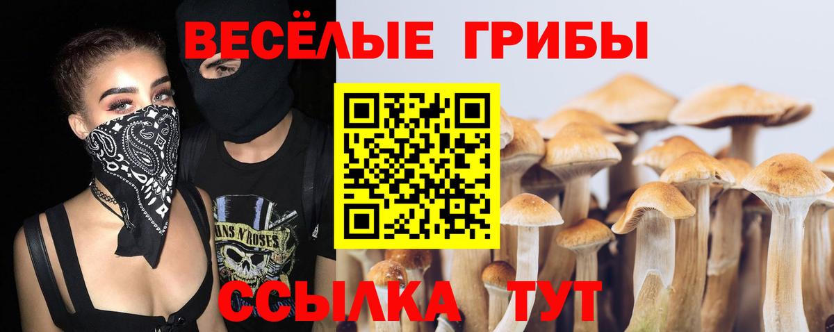 Губаха  Псилоцибиновые грибы Psilocybine cubensis  Вход с VPN 